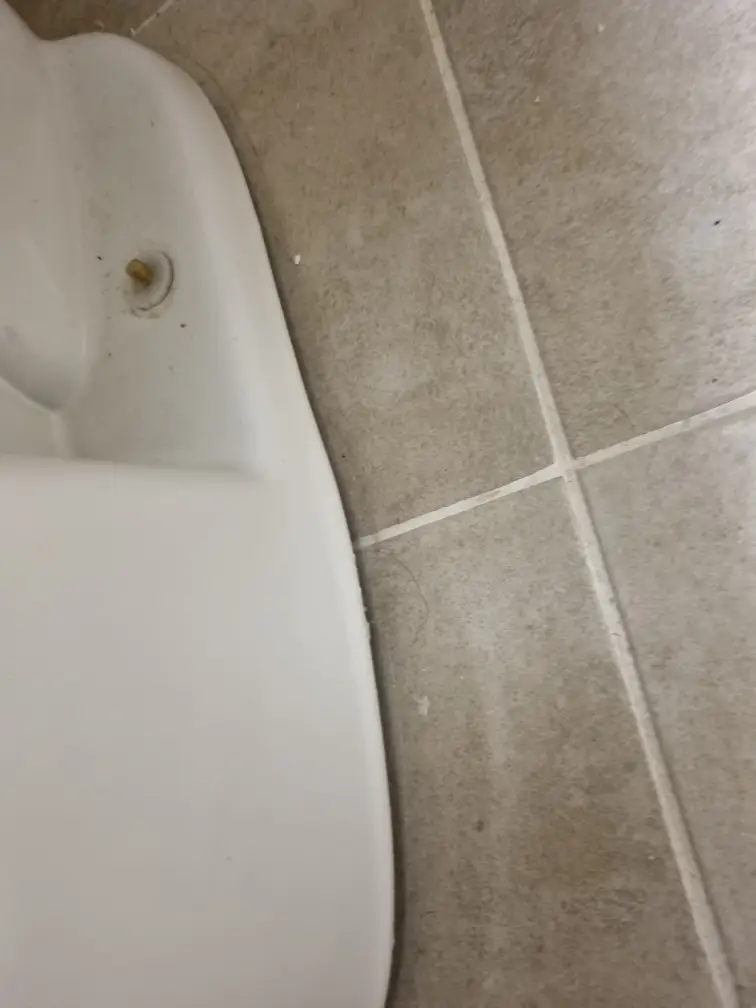 변기 백시멘트 시공 5
